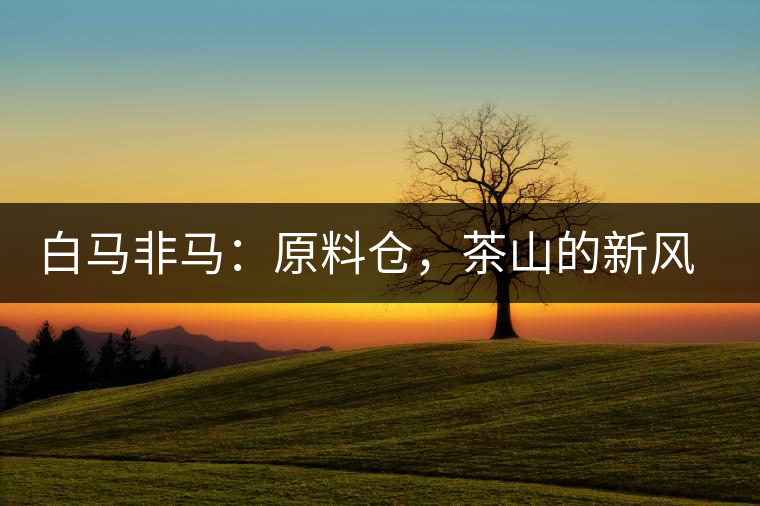 白馬非馬：原料倉(cāng)，茶山的新風(fēng)景