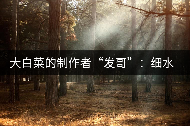 大白菜的制作者“發(fā)哥”：細水長流，做茶“急不得”