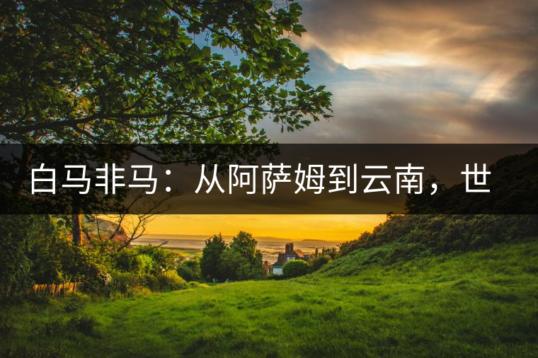 白馬非馬：從阿薩姆到云南，世界茶樹起源爭論的誤區(qū)