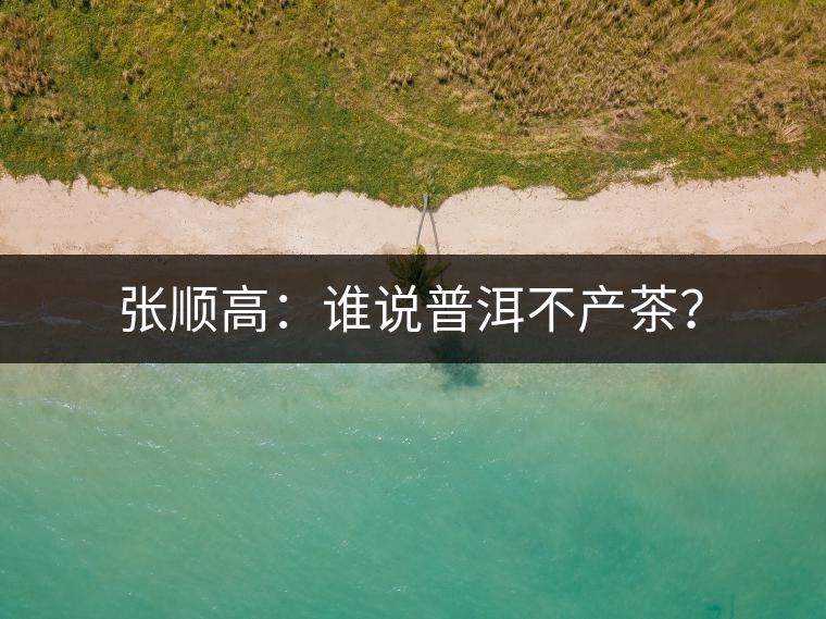 張順高：誰說普洱不產(chǎn)茶？