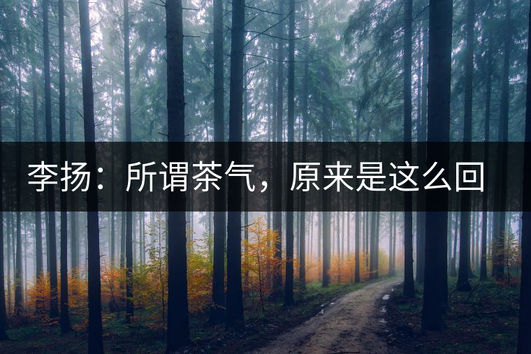 李揚(yáng)：所謂茶氣，原來(lái)是這么回事