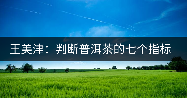 王美津：判斷普洱茶的七個指標 之形