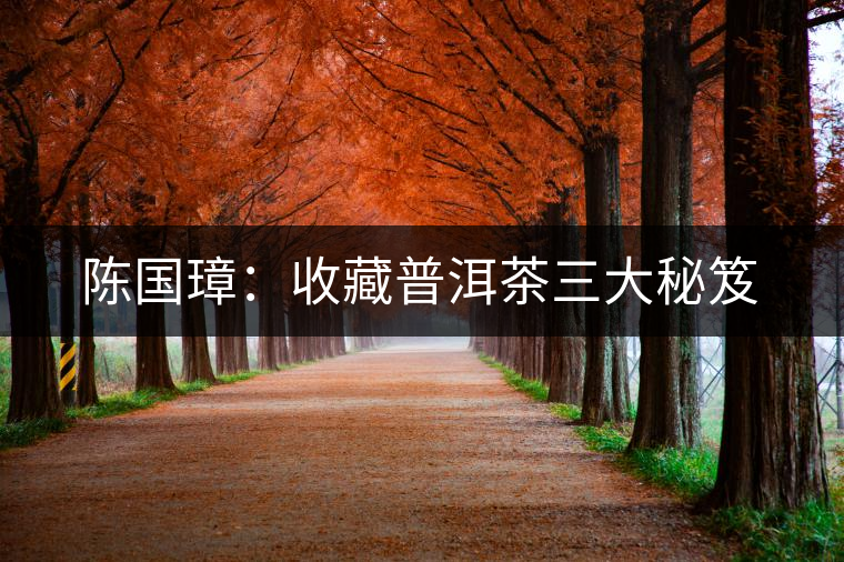 陳國(guó)璋：收藏普洱茶三大秘笈