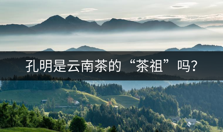 孔明是云南茶的“茶祖”嗎？