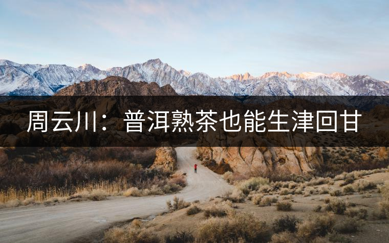 周云川：普洱熟茶也能生津回甘