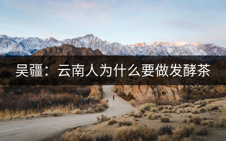 吳疆：云南人為什么要做發(fā)酵茶