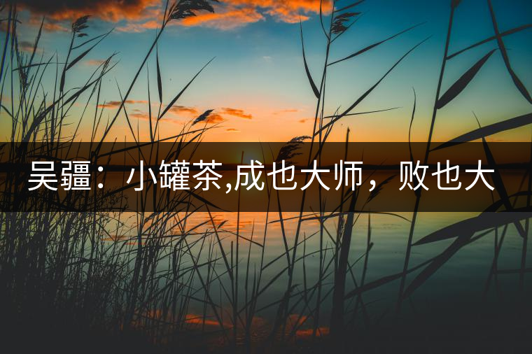 吳疆：小罐茶,成也大師，敗也大師