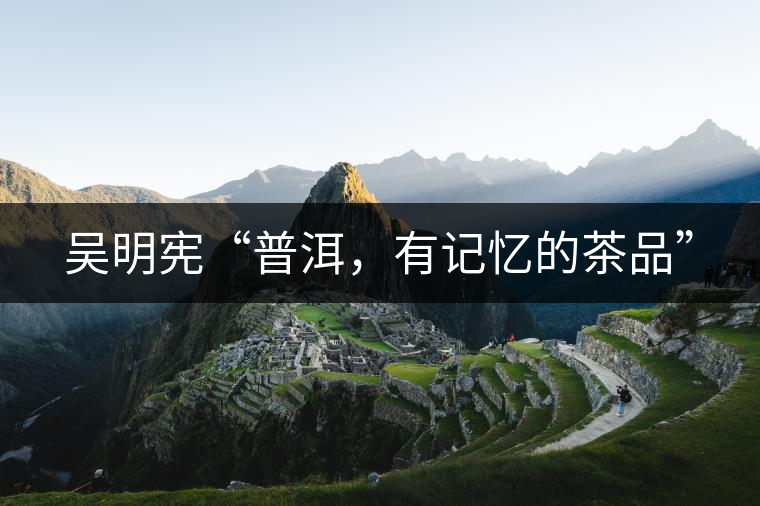 吳明憲“普洱，有記憶的茶品”