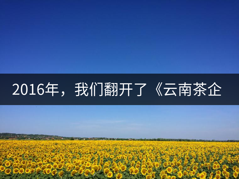 2016年，我們翻開了《云南茶企發(fā)展白皮書》