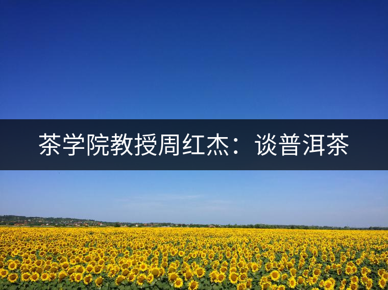 茶學(xué)院教授周紅杰:談普洱茶 茶學(xué)院教授周紅杰:談普洱茶