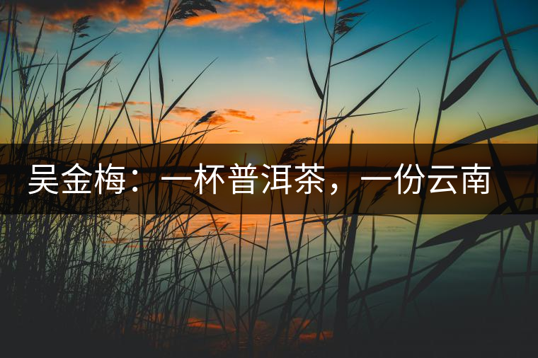 吳金梅：一杯普洱茶，一份云南情