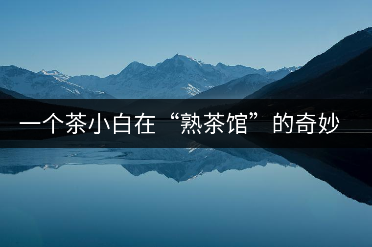 一個茶小白在“熟茶館”的奇妙體驗(yàn)之旅