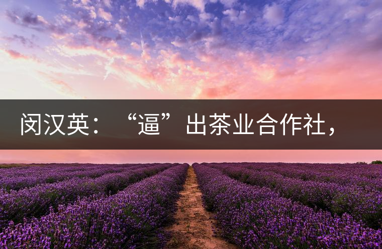 閔漢英：“逼”出茶業(yè)合作社，帶領(lǐng)村民走上致富路