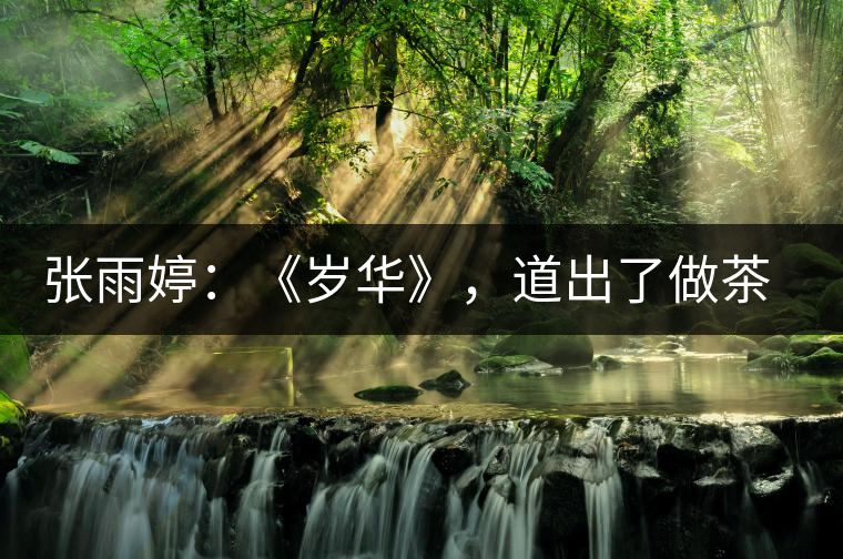 張雨婷：《歲華》，道出了做茶人的寂寞