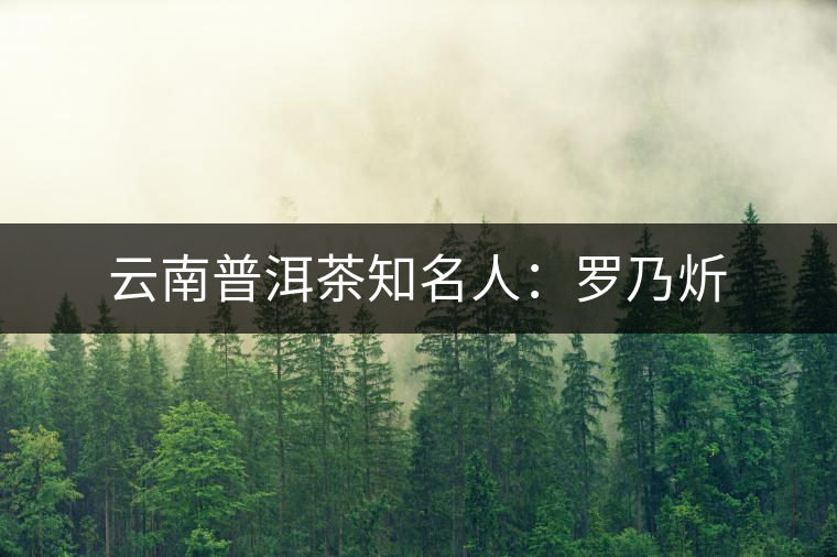云南普洱茶知名人:羅乃炘 云南普洱茶知名人:羅乃炘