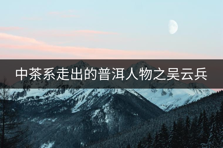 中茶系走出的普洱人物之吳云兵