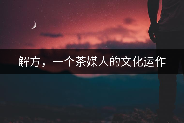 解方，一個茶媒人的文化運作