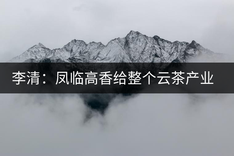 李清:鳳臨高香給整個云茶產業(yè)做廣告 李清:鳳臨高香給整個云茶產業(yè)做廣告