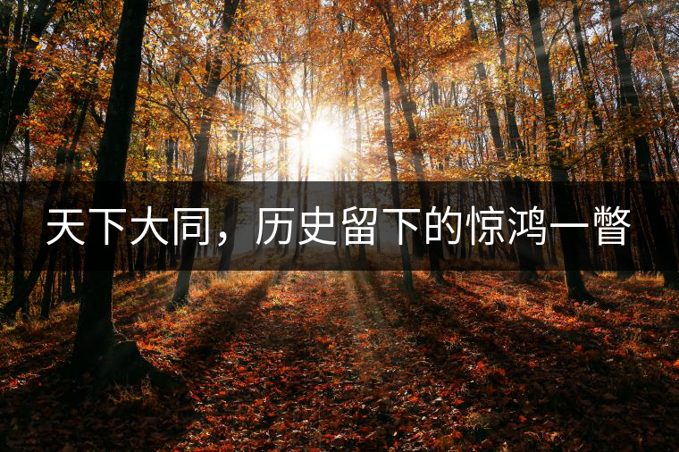 天下大同，歷史留下的驚鴻一瞥