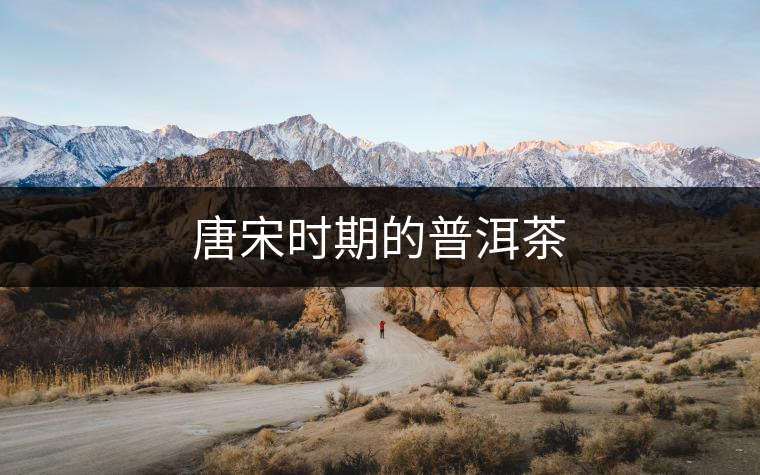 唐宋時(shí)期的普洱茶