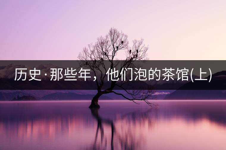 歷史·那些年，他們泡的茶館(上)