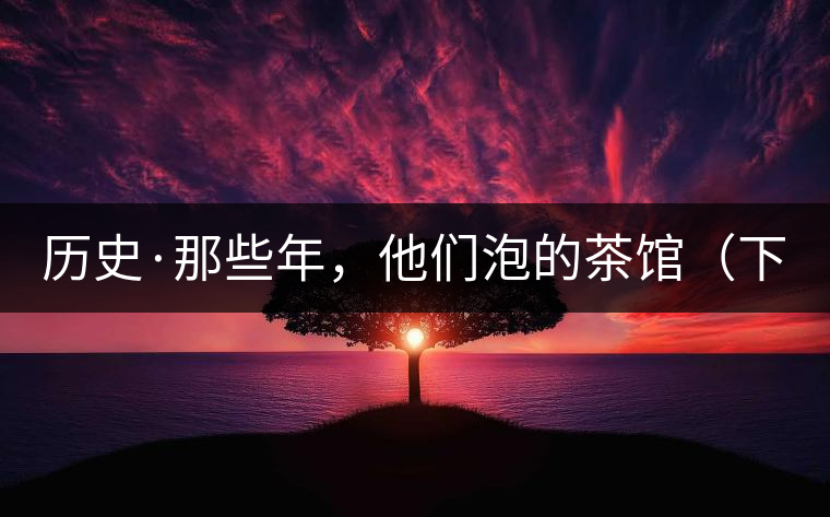 歷史·那些年，他們泡的茶館（下）
