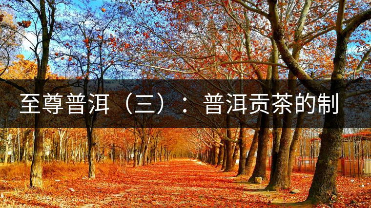 至尊普洱（三）：普洱貢茶的制度
