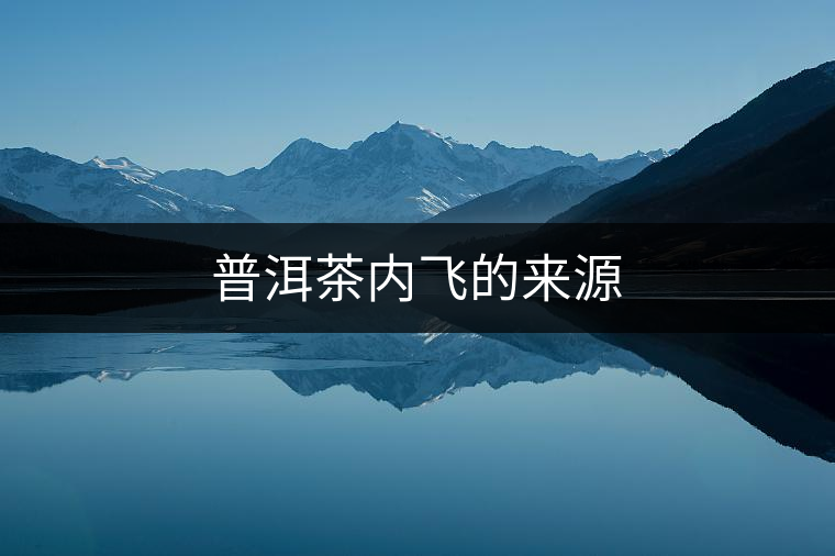 普洱茶內(nèi)飛的來源 普洱茶內(nèi)飛的來源