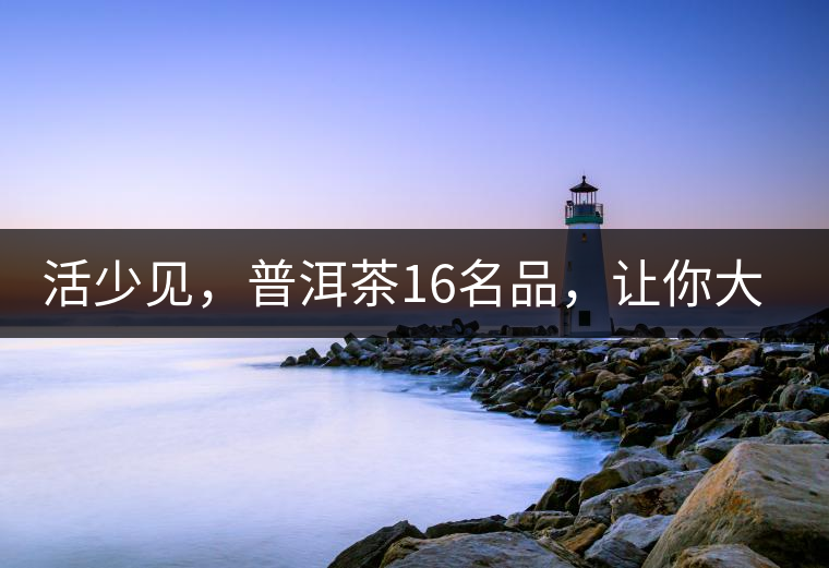 活少見，普洱茶16名品，讓你大開眼界