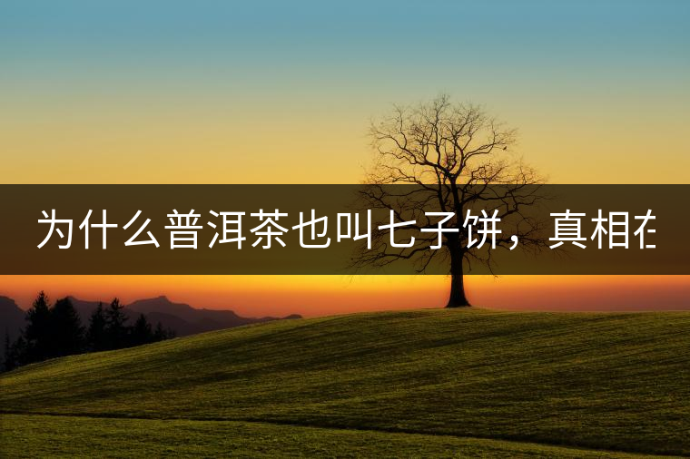 為什么普洱茶也叫七子餅，真相在這里！