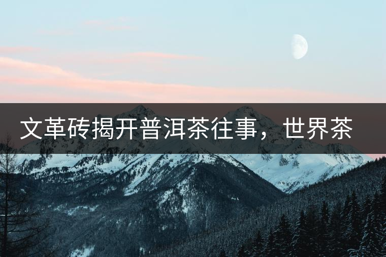 文革磚揭開(kāi)普洱茶往事，世界茶文化交流協(xié)會(huì)成員共品經(jīng)典文革磚！