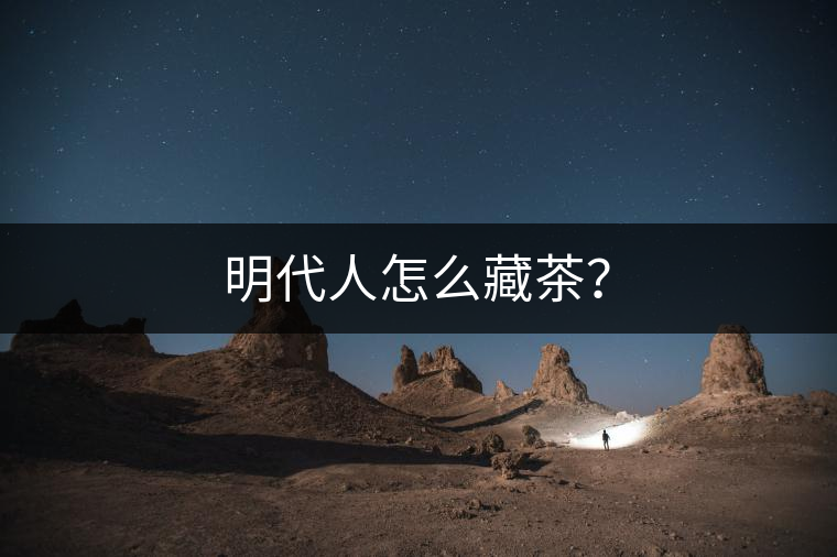 明代人怎么藏茶？