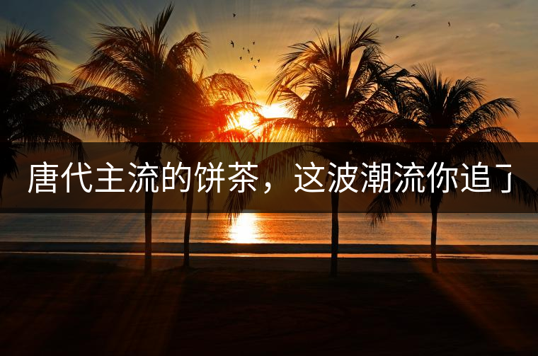 唐代主流的餅茶，這波潮流你追了嗎？