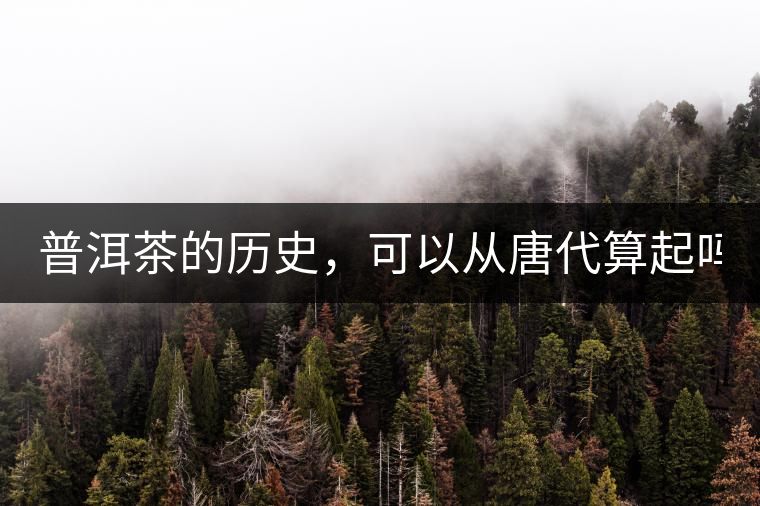 普洱茶的歷史，可以從唐代算起嗎？