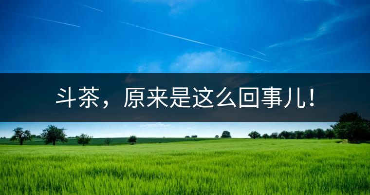 斗茶，原來(lái)是這么回事兒！