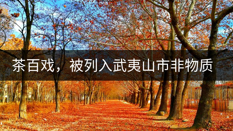 茶百戲，被列入武夷山市非物質文化遺產(chǎn)的茶湯