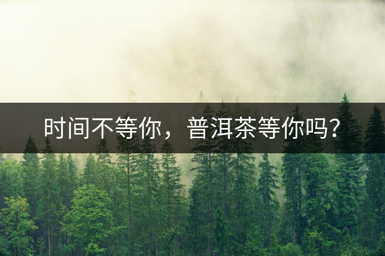 時(shí)間不等你，普洱茶等你嗎？