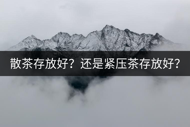 散茶存放好？還是緊壓茶存放好？