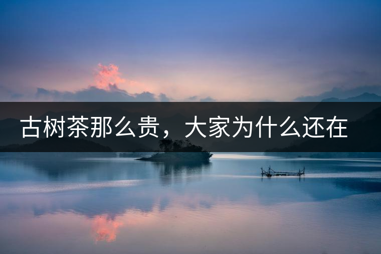 古樹(shù)茶那么貴，大家為什么還在瘋狂追求？