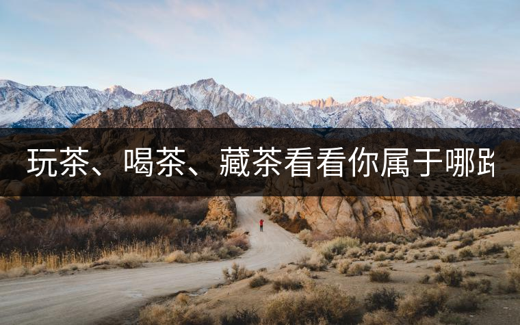 玩茶、喝茶、藏茶看看你屬于哪路茶神！