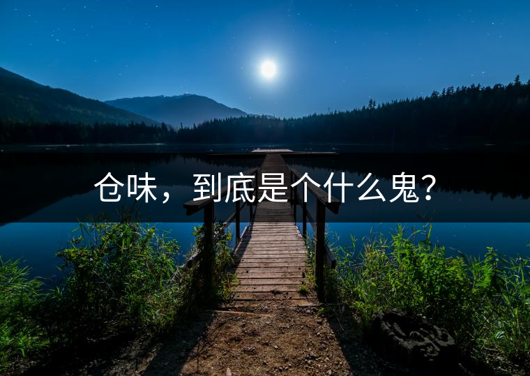 倉味，到底是個什么鬼？