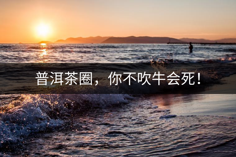 普洱茶圈，你不吹牛會(huì)死！