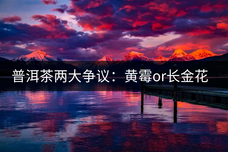 普洱茶兩大爭議：黃霉or長金花，生蟲or蟲屎茶