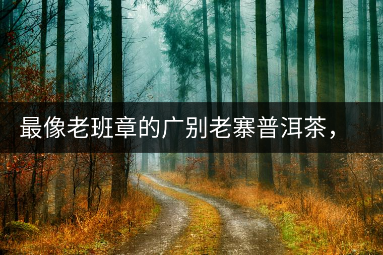 最像老班章的廣別老寨普洱茶，卻是冰島派來的臥底