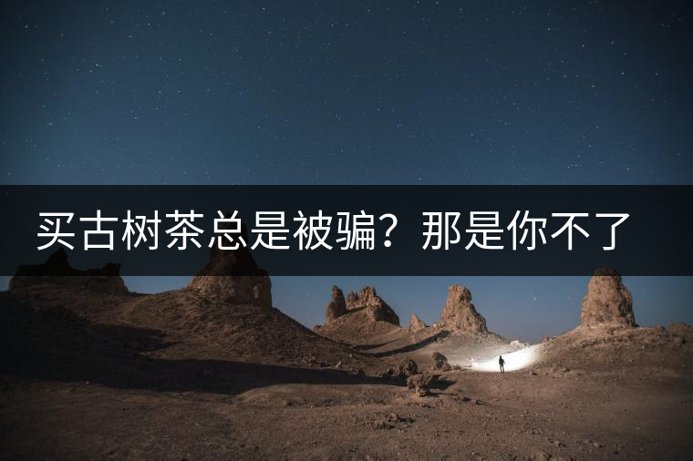 買古樹茶總是被騙？那是你不了解古樹茶的十大真相