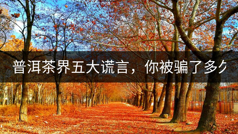 普洱茶界五大謊言，你被騙了多久？