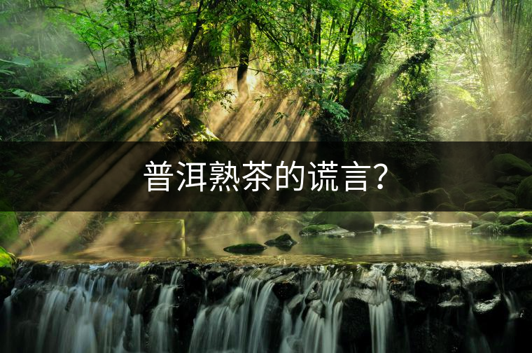 普洱熟茶的謊言？