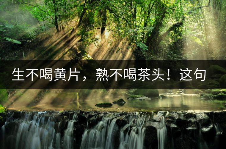 生不喝黃片，熟不喝茶頭！這句話你了解多少？