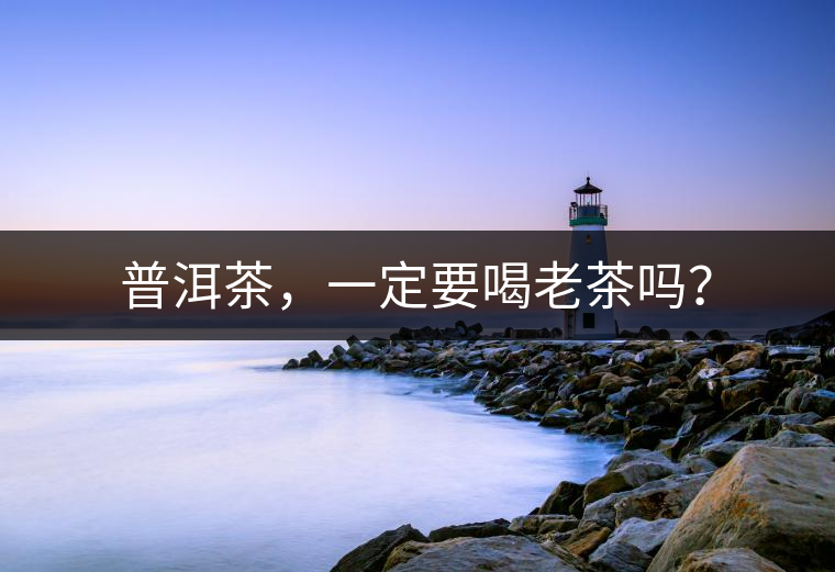 普洱茶，一定要喝老茶嗎？
