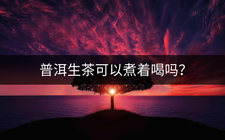 普洱生茶可以煮著喝嗎？